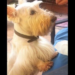 Meet your Posher, Debbie